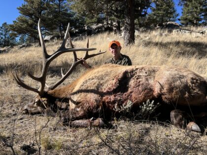 2024 Bull Elk