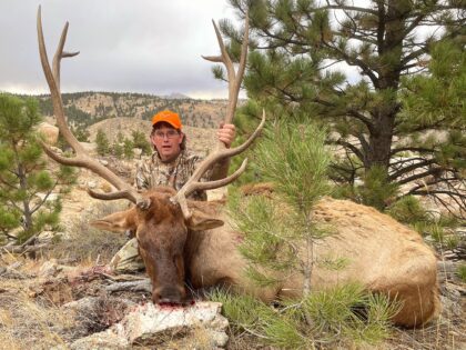 2024 Bull Elk