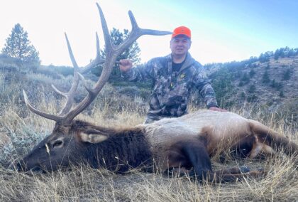 2024 Bull Elk