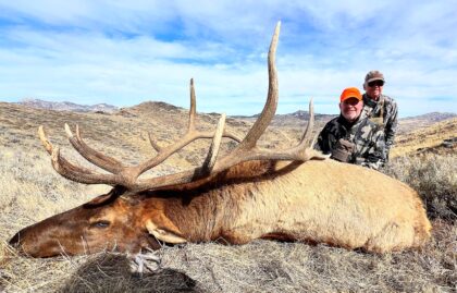 2024 Bull Elk