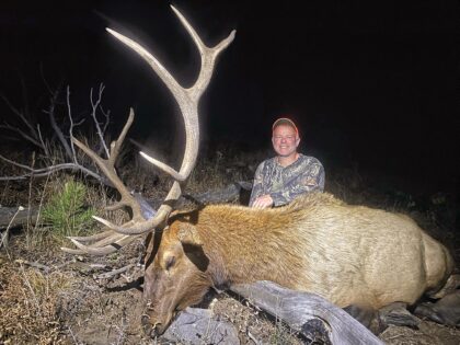 2024 Bull Elk