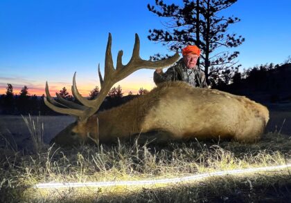 2024 Bull Elk