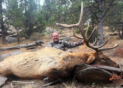 2024 Bull Elk