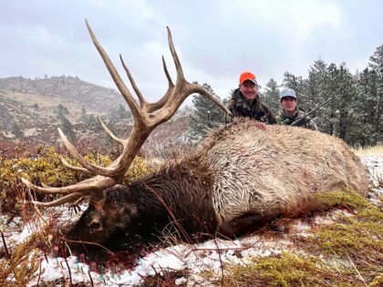 2024 Bull Elk